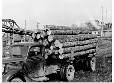 Logging Truck at Sawmill, Franklin, Virginia