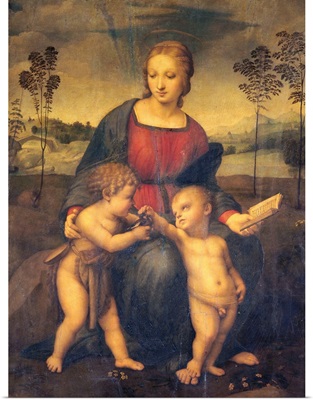 Madonna Of The Goldfinch By Raphael