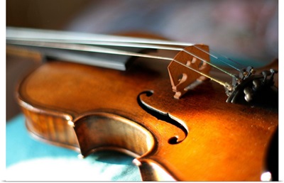 Maggini's violin with beautiful sound.