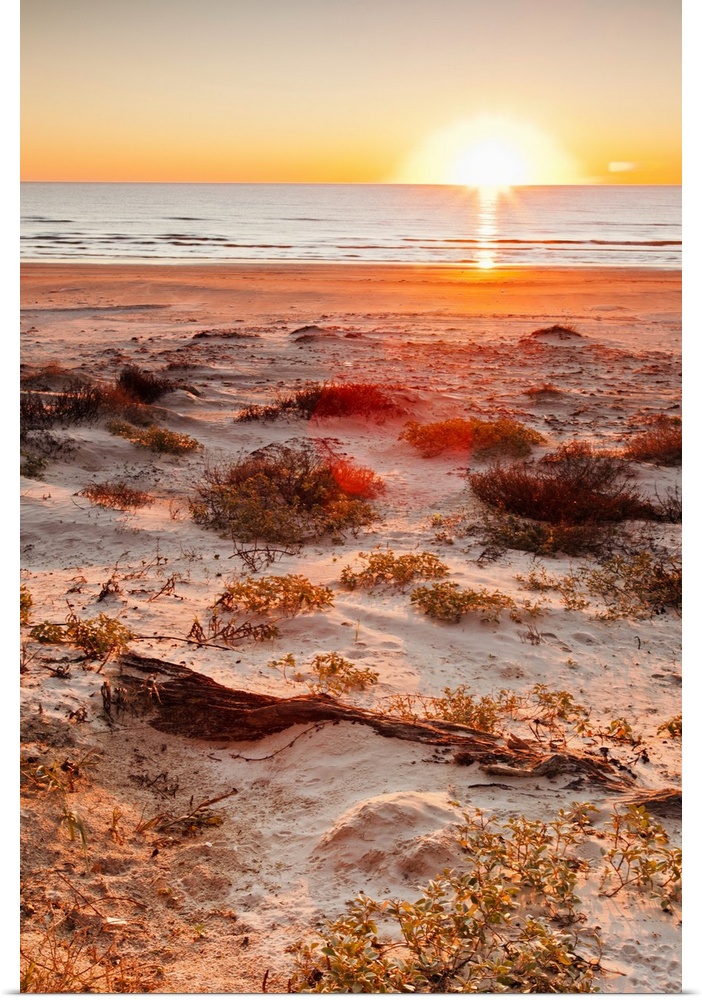 Malaquite Beach sand dunes and Gulf of Mexico at sunrise on Padre Island National Seashore, Texas, USA