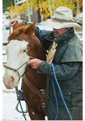 Man Putting Bridle On Horse