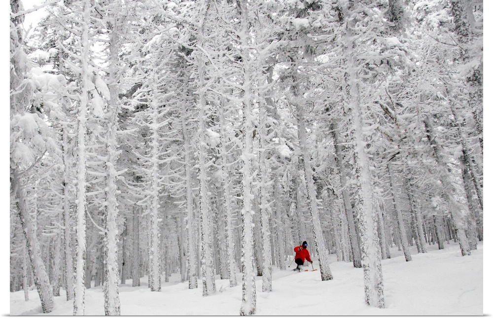 Man Skiing through frost covered forest