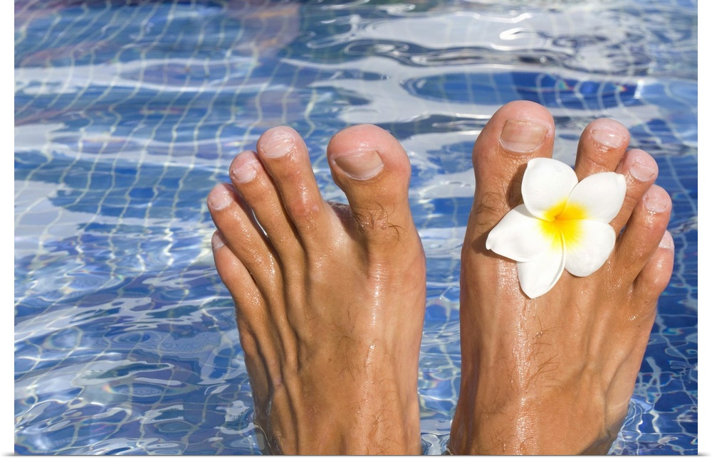Mans feet in blue swimming pool with tropical frangipani flower.