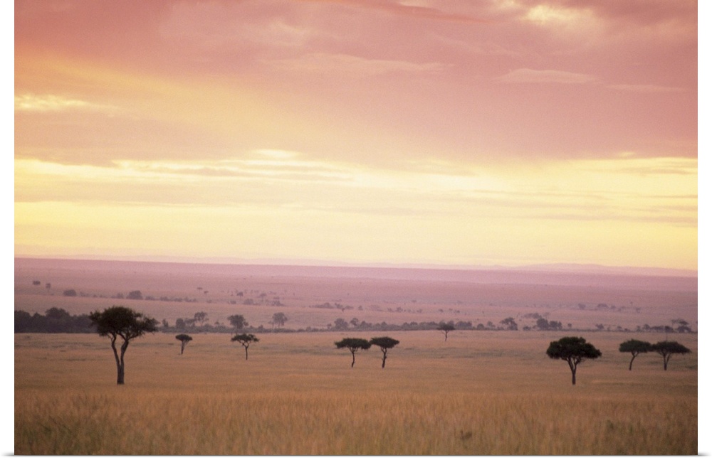 Masai Mara National Park in Kenya , Africa