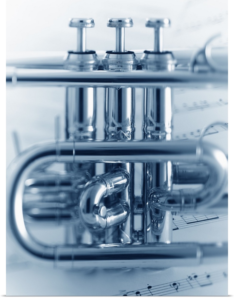 Middle Section Detail of Cornet Instrument
