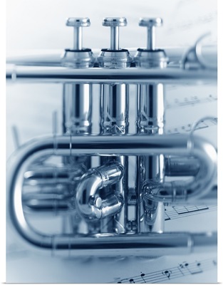 Middle Section Detail of Cornet Instrument