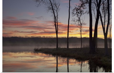 Misty sunrise, pond lake County Forest Preserve District, Illinois.