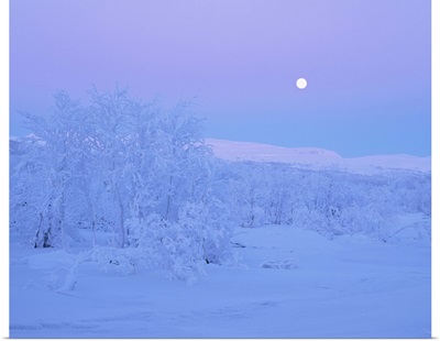 Moonlight over a winter landscape.