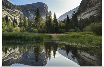 Morning shot of the Mirror Lake, Yosemite