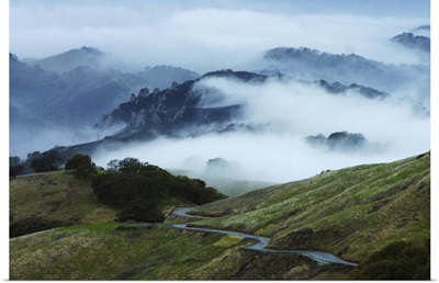 Mount Diablo Fog, California