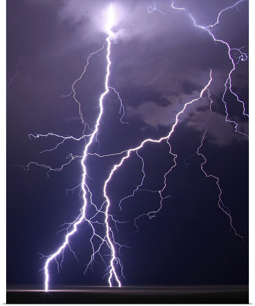 Multiple cloud to ground lightning strikes fill frame on this shot of summer night's storm over plains near Limon, Colorado.