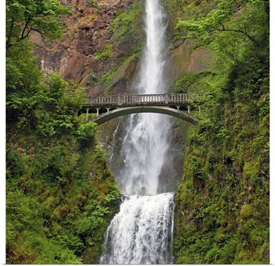 Multnomah Waterfall at Oregon. Columbia River Gorge with green lush and footbridge.