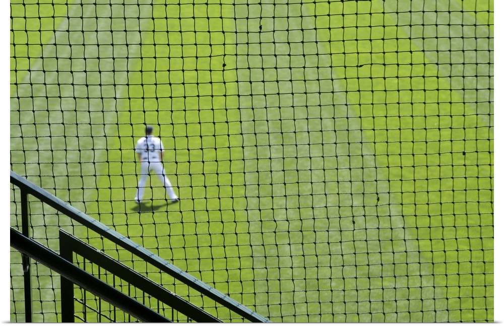 Netting with baseball player on green grass.