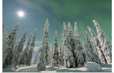Northern lights and full moon, Nordoesterbotten, Suomi, Finland