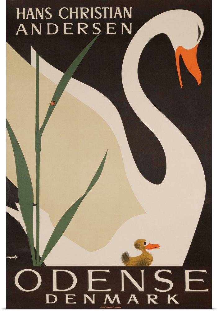 Illustrated by Vagnby, ca 1950s. An ugly duckling swims beside a beautiful swan.