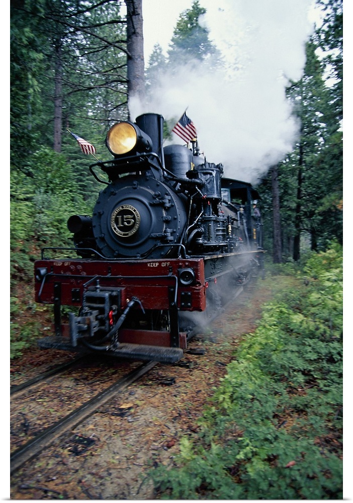 Vertical panoramic photograph of vintage train blowing smoke and moving through a forest.