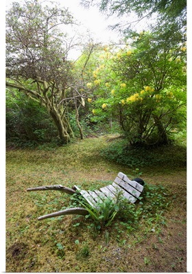 old wooden wheelbarrow in cougar annie's garden