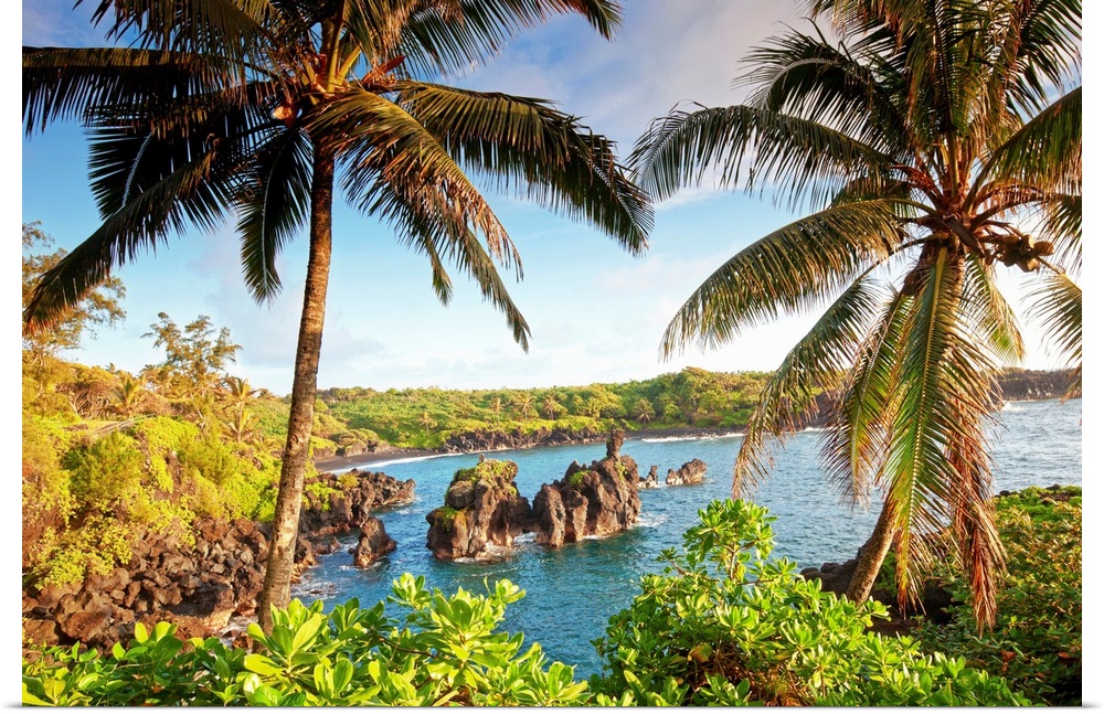 Landscape photograph of two large palm trees swaying over the coastline in Maui, Hawaii.  Large rocks in the blue waters a...