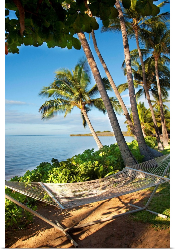 Palm trees near Kaunakakai, fronting Hotel Molokai with hammock in foreground, Molokai, Hawaii