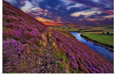 Pentland Hills, Scotland