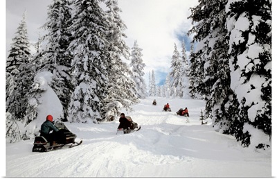 People on snowmobiles in Yellowstone National Park in Wyoming, USA