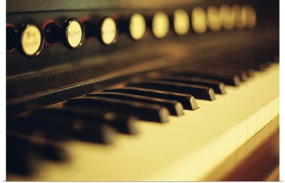 Piano keys and buttons.