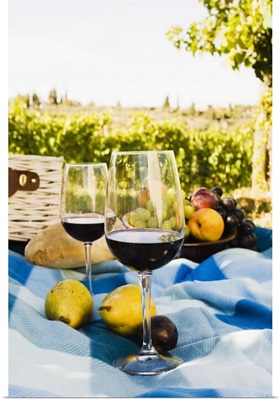 Picnic with red wine