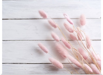 Pink Bunny Tail Grass On White Wooden Table