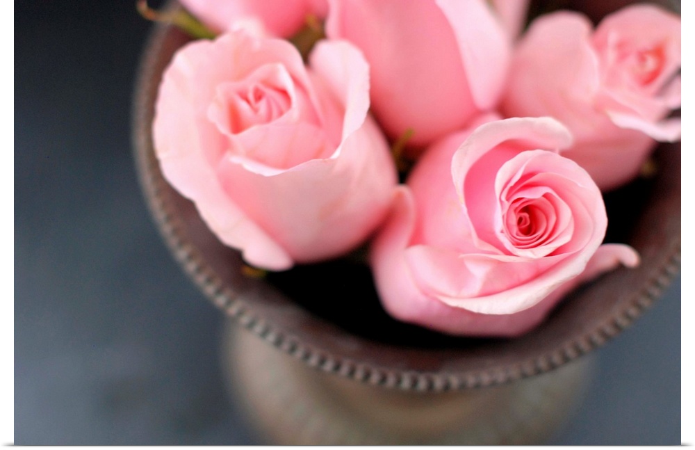 Pink roses in vase from above.