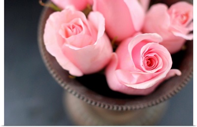 Pink roses in vase from above.