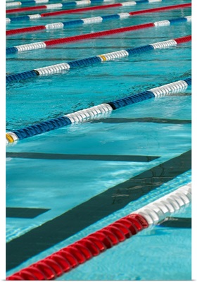 Plastic separators in a swimming pool creating lanes.