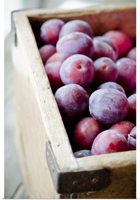 Plums in wooden box.