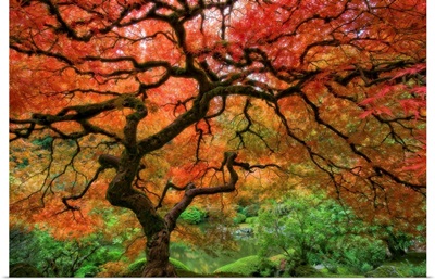 Portland, Oregon's Japanese garden.