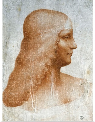 Portrait of Isabella d'Este - Drawing by Leonardo da Vinci