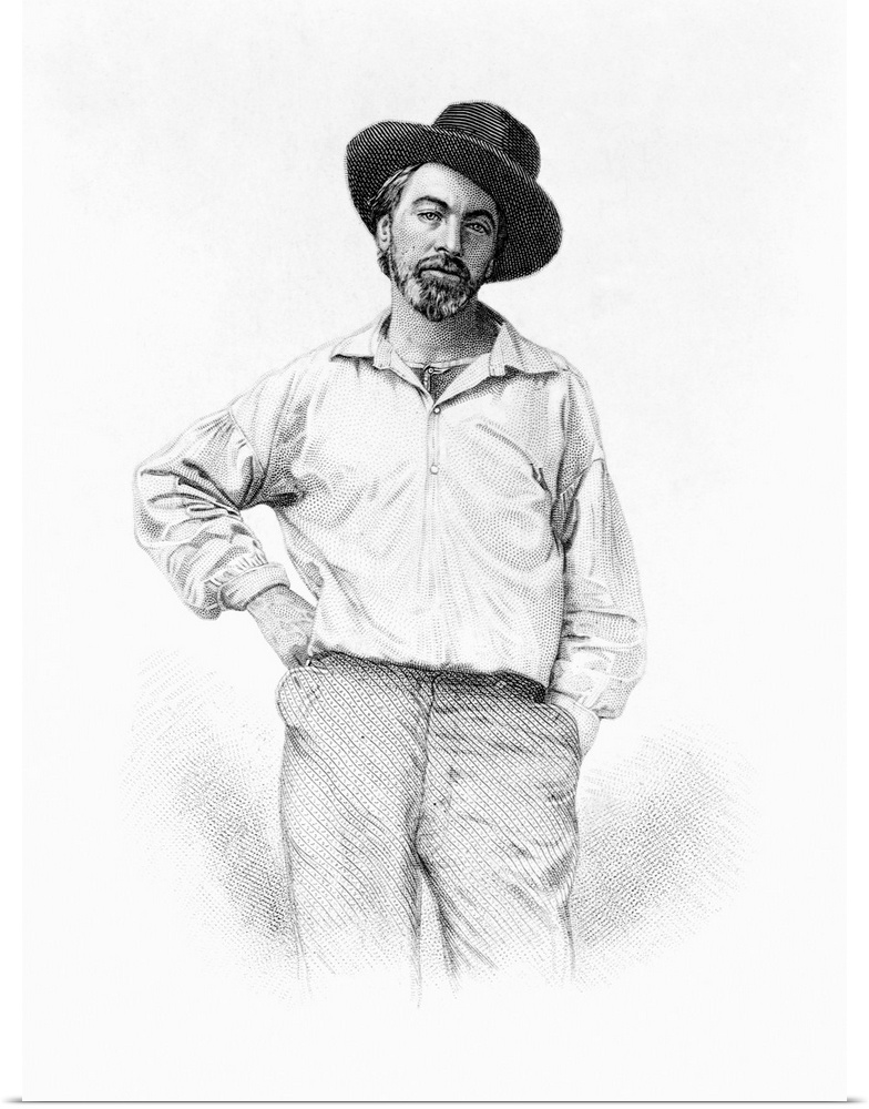 A steel engraving of Walt Whitman in his 30s. This portrait appeared on the first edition of Leaves of Grass, published in...