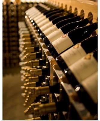 Racks of wine bottles