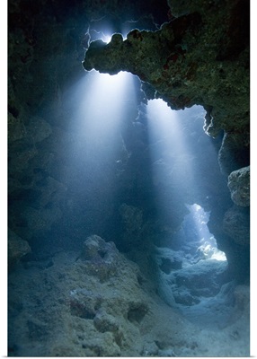 Rays of light shining on coral reef underwater, Grand Cayman Island
