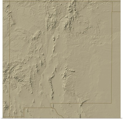 Relief Map of New Mexico