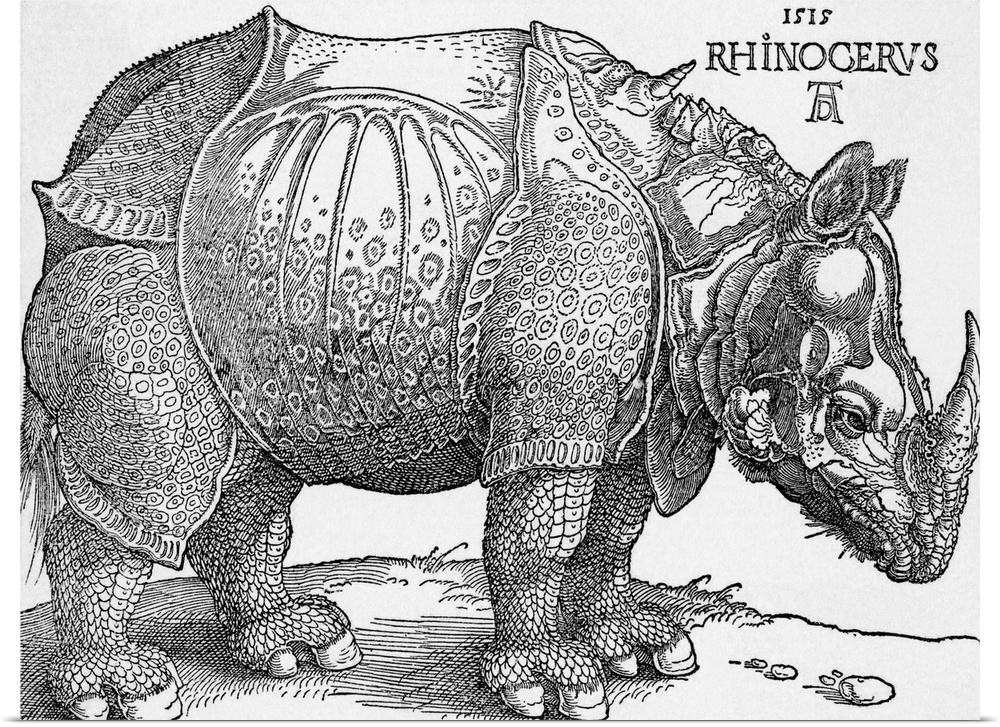 Drawing of a rhinoceros by Albrecht Durer, c. 1515. BPA2