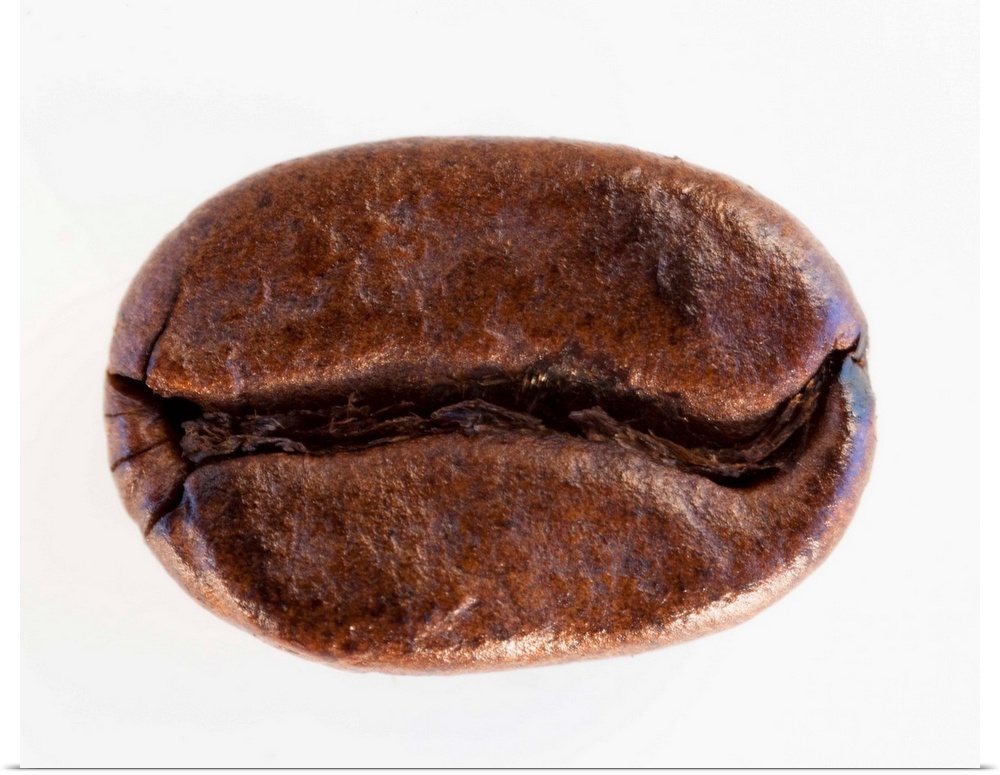 Roast coffee bean, studio shot
