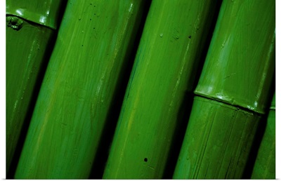 Row of bamboo painted green.