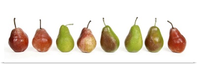 Row of Pears