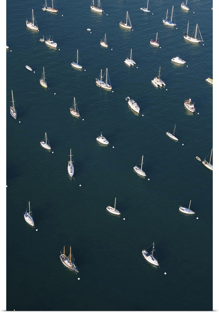 Rows of boats in San Diego bay