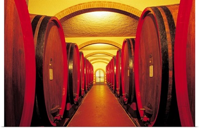 Rows of wine casks in cellar