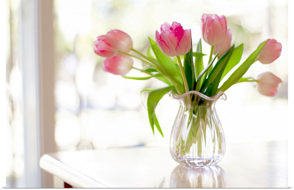 Ruffled pink glass vase filled with soft, pink tulips sitting on table in front of window bright with sunlight.