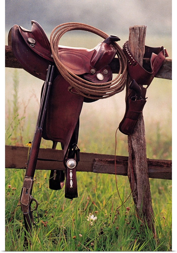 Saddle and lasso on fence