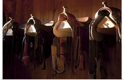 Saddles in barn, Colorado