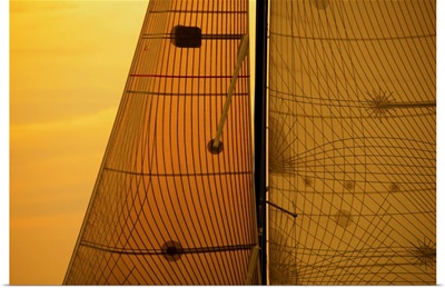 Sail In The Sunset