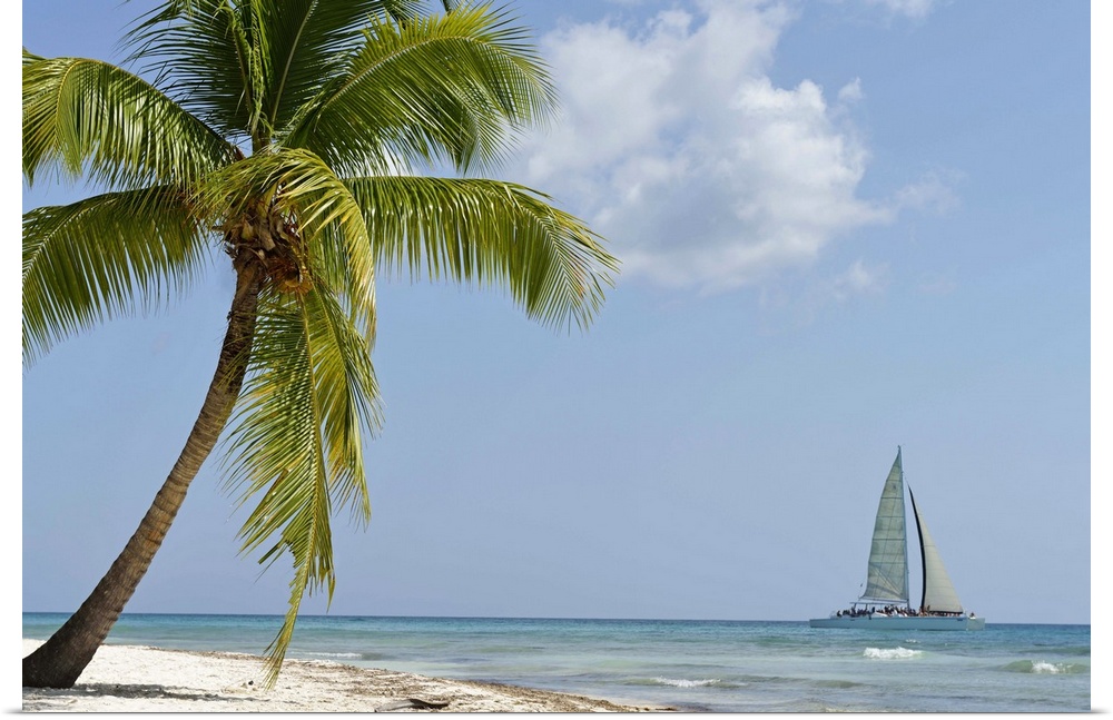 Poster Print Wall Art entitled Sailboat passing by tropical beach