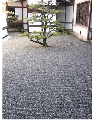 Sand Japanese garden with pine tree and white houses, Hikone, Shiga.